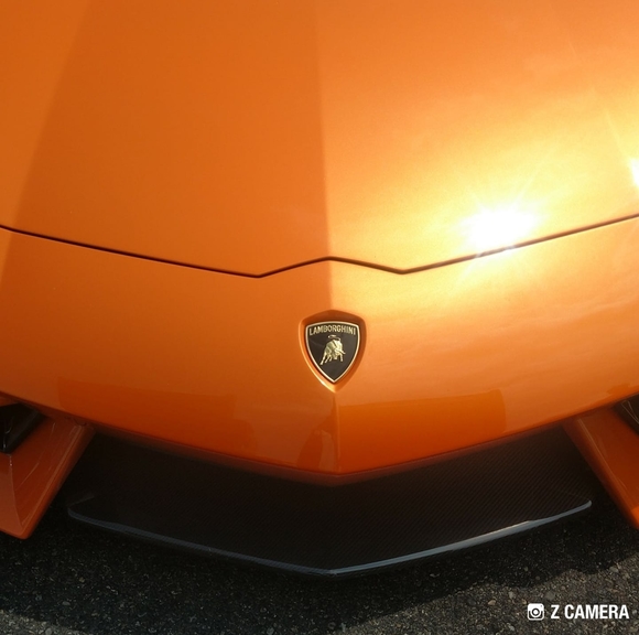 Meet your Posher, Josh - Picture 1 of 1